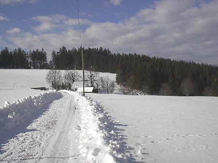 Schwarzwald 2004
